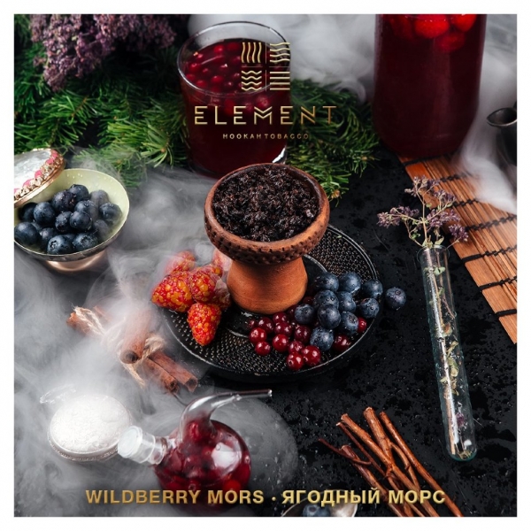Купить Element ВОДА - Wildberry Mors (Ягодный морс) 100г