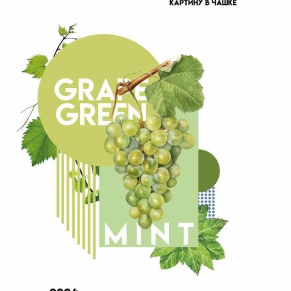 Купить Palitra - Grape Green Mint (Виноград Мята) - 200г