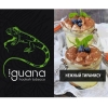 Купить Iguana Medium - Нежный Тирамису (100 грамм)