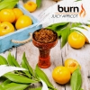Купить Burn - Juicy Apricot (Сочный абрикос, 200 грамм)